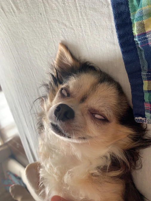 🎉🎊ぽこのプロジェクトが成功しました🎊🎉