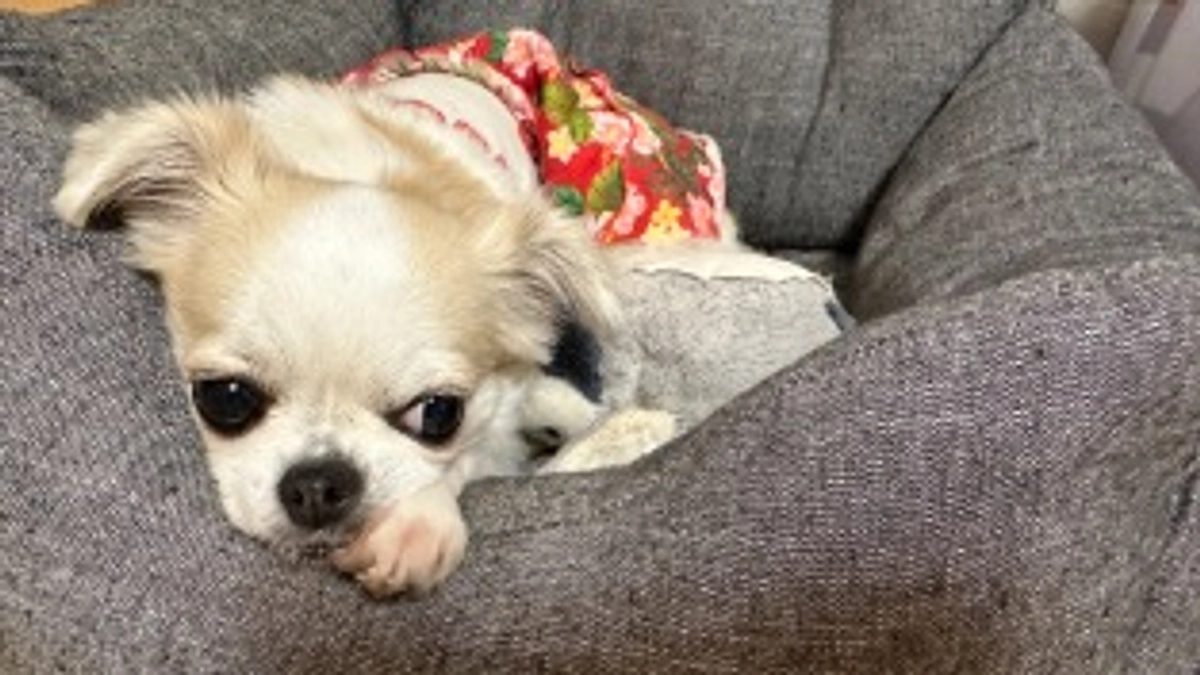 プロジェクト開始1週間が経ちました🙏🏻