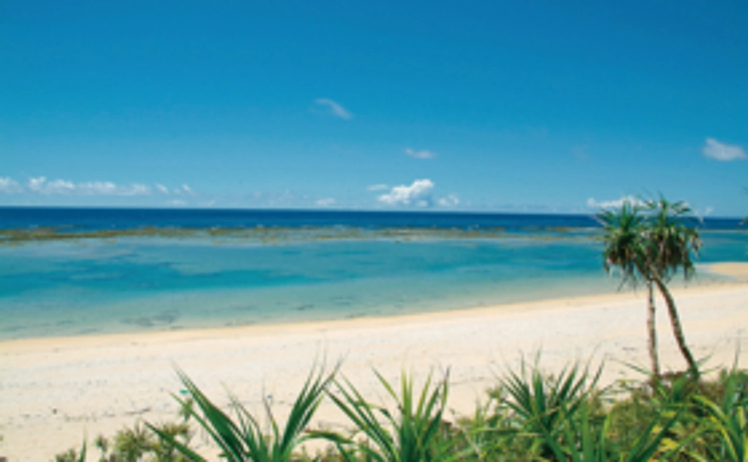 心を込めてお礼のメールをお送りします。