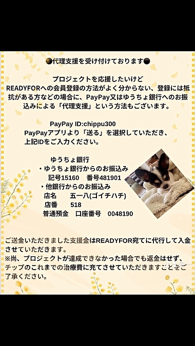 代理支援も募集しております