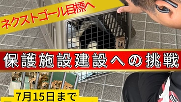 第二回！保護犬活動も応援できる”命をつなぐ”平飼い養鶏場の規模拡大 のトップ画像