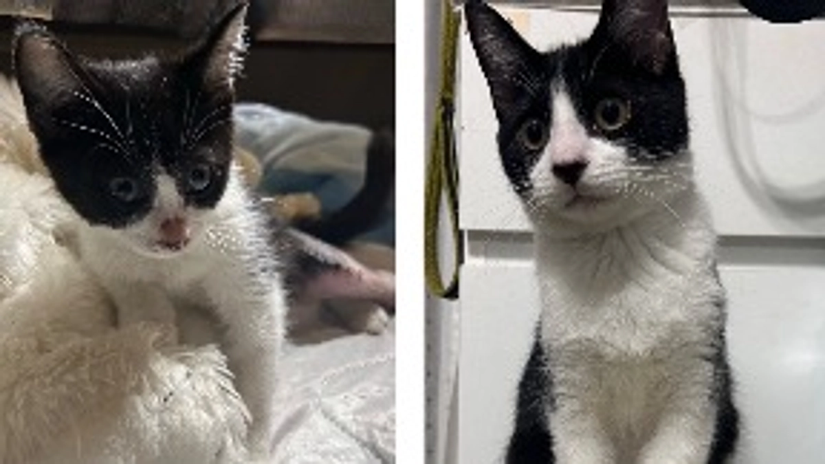 10月19日 〜 リハビリ経過報告② 〜保護から58日目