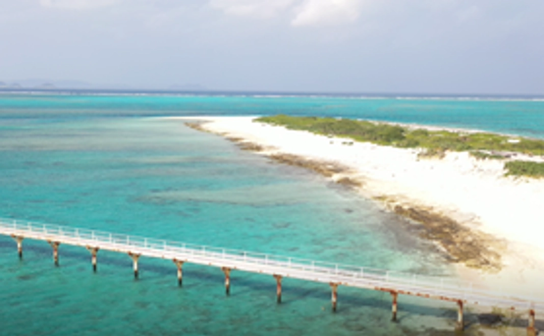 沖縄の海で鯨の親子を空撮するぞ。