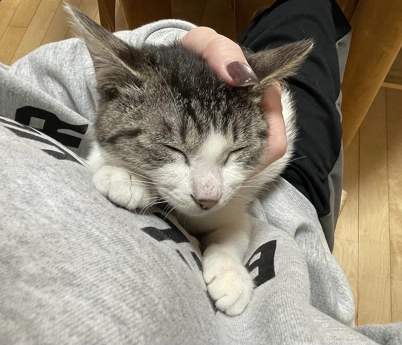 ゴロゴロエルちゃん