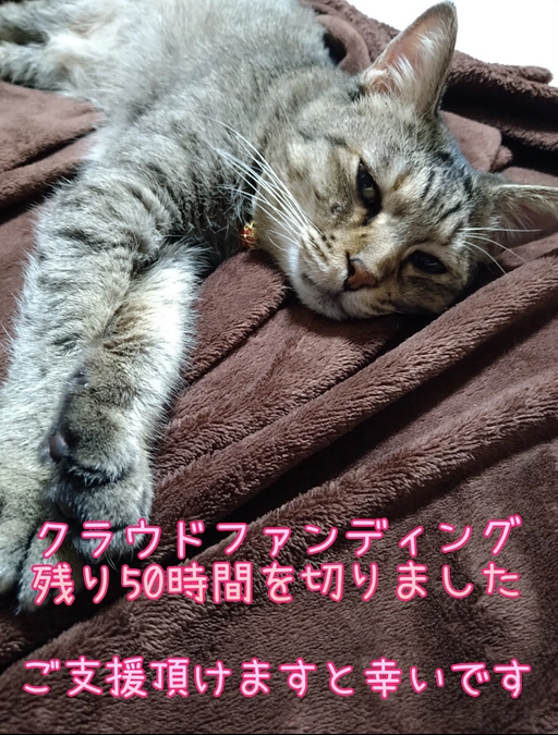 クラファン残り2日となりました