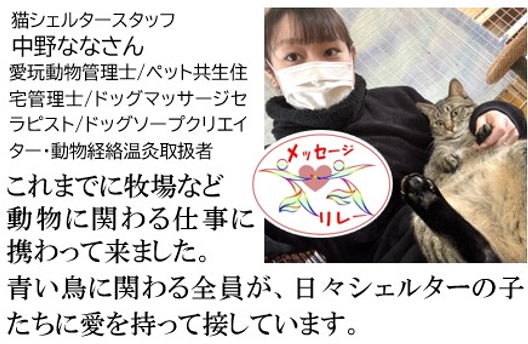 リレー７．沢山の出会いと別れ。青い鳥に来て良かったと思ってもらえるように。