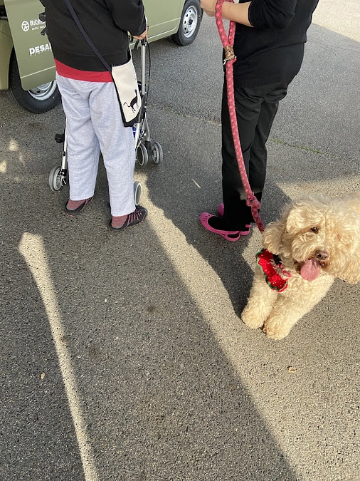 移動花屋とともにセラピー犬活動開始