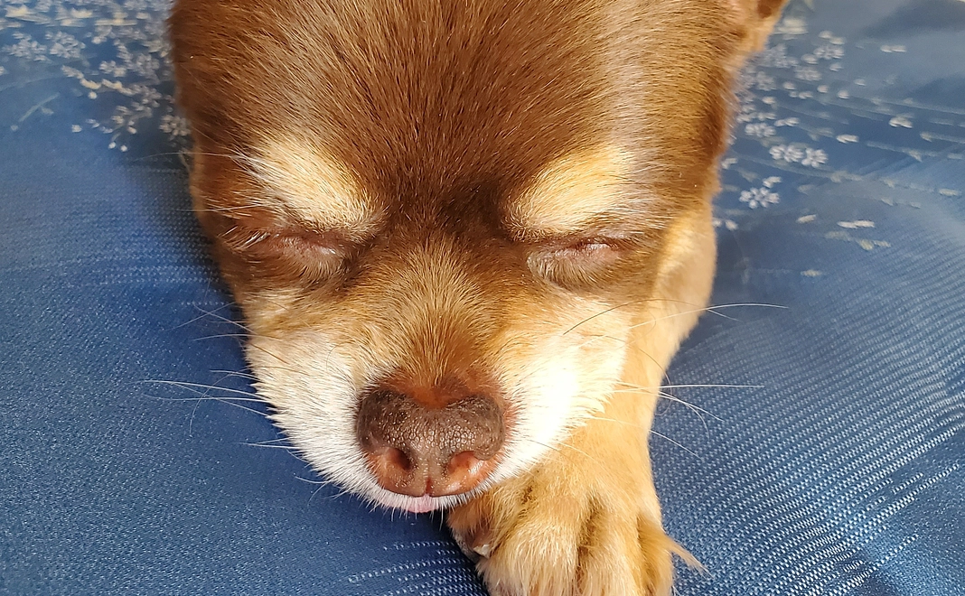 感謝の手紙　50000円