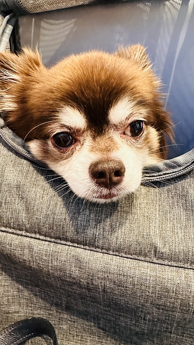 今日は1ヶ月ぶりの病院