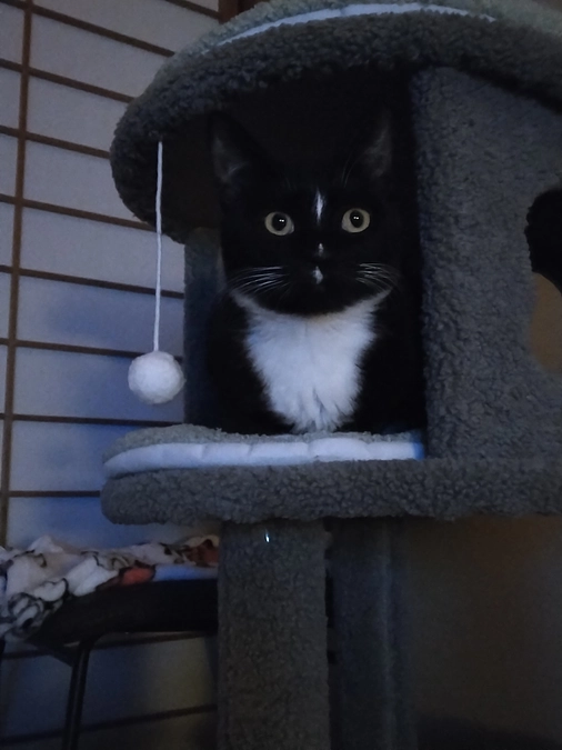 2/2はなちゃんの様子