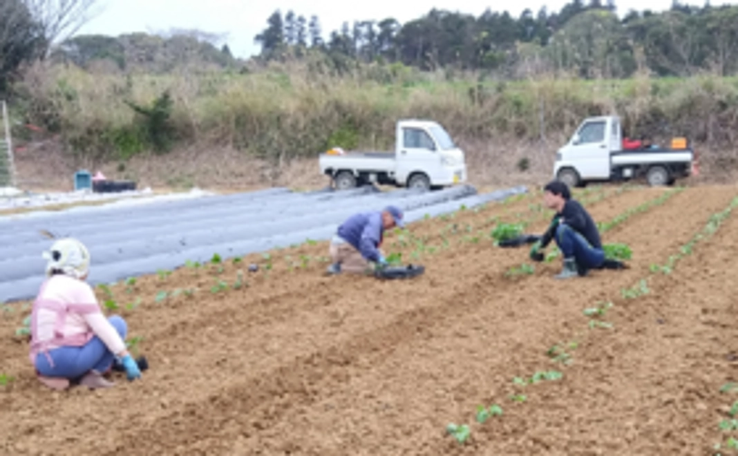 【応援】お気持ちコース