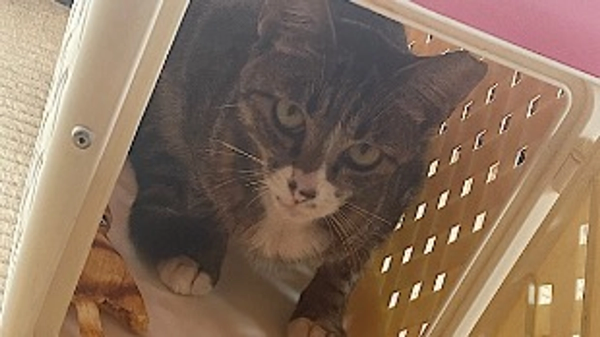 ちびちゃんの様子