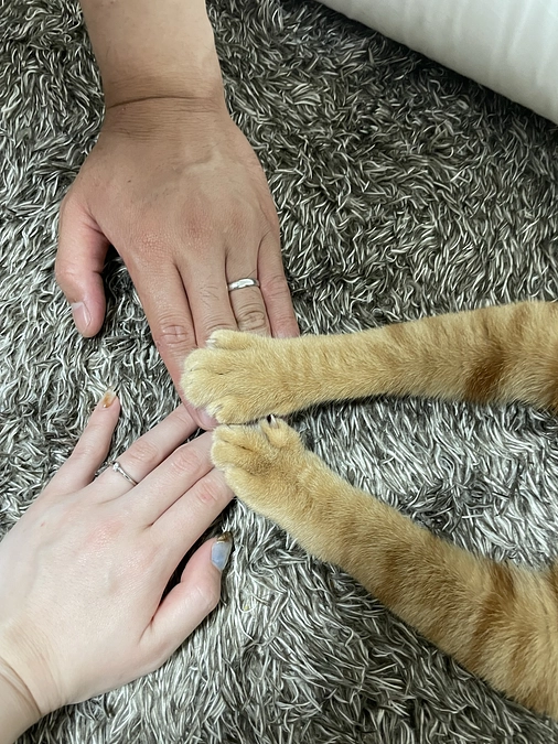 クラファン　🔥残り9日🔥頑張るぞー！