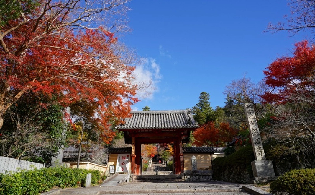 【A】小冊子と入山券