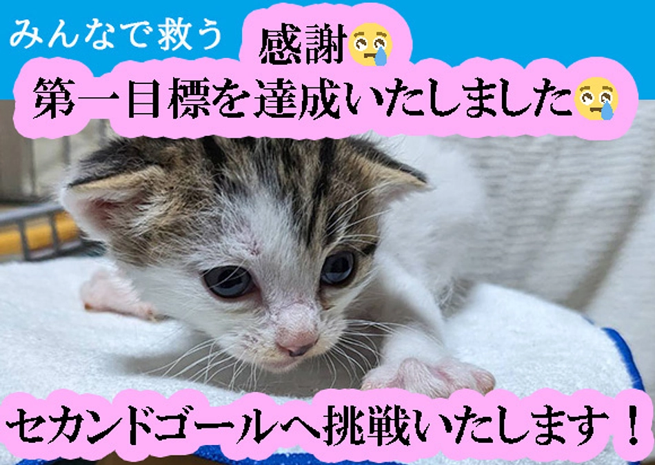 【第一目標達成です！】感謝の気持ちでいっぱいです！