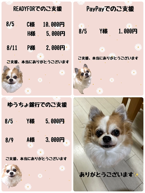 8月5日～8月11日までのご支援