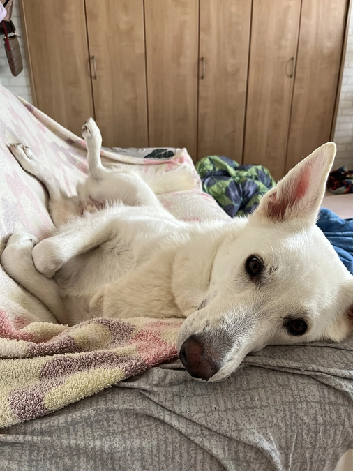 本日23時よりインスタライブをします！