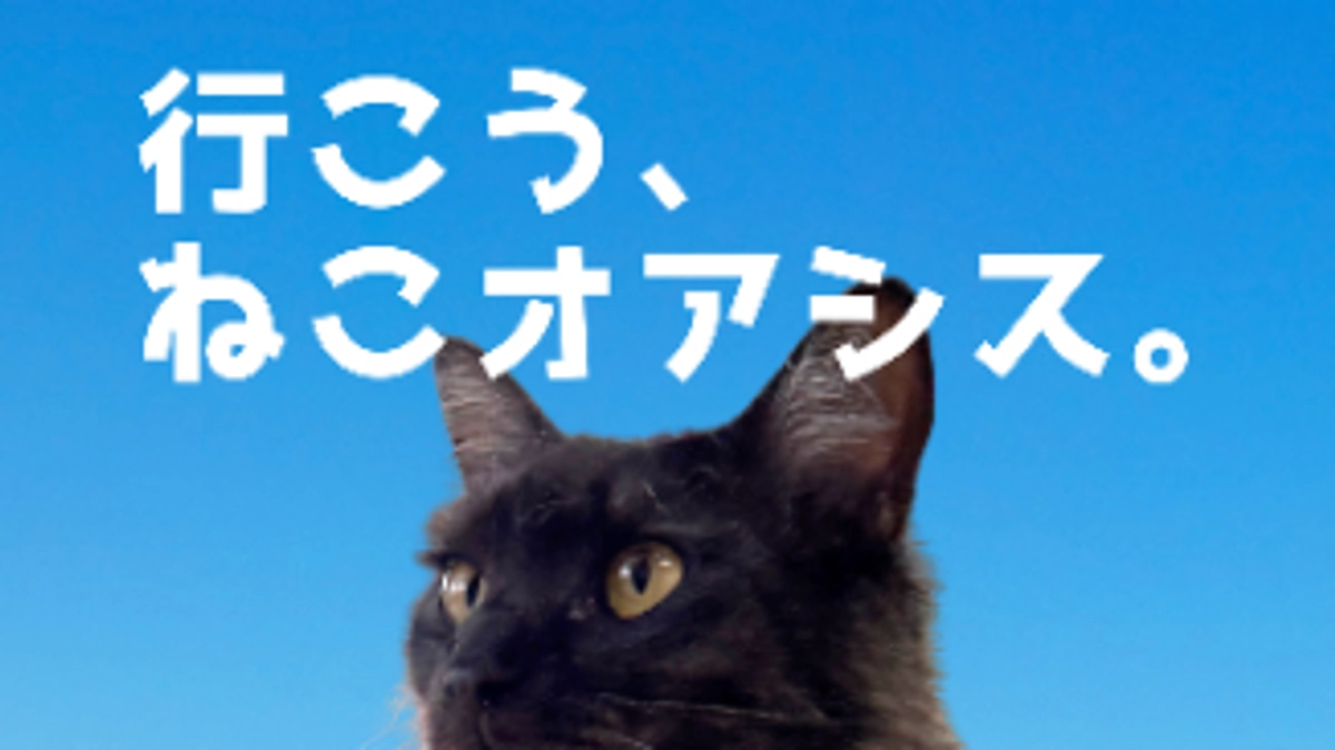 ねこオアシスオハナです