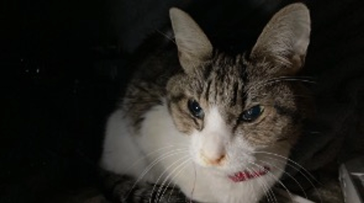 1/29 おはようございます☀️