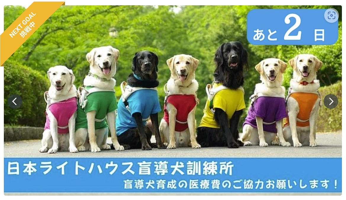 挑戦中プロジェクトも残り2日となりました。