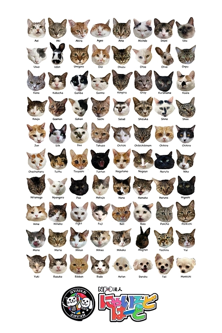 【オリジナルキャンパスバッグ・オリジナルTシャツ・オリジナルパーカー・フルセット】発送のお知らせ