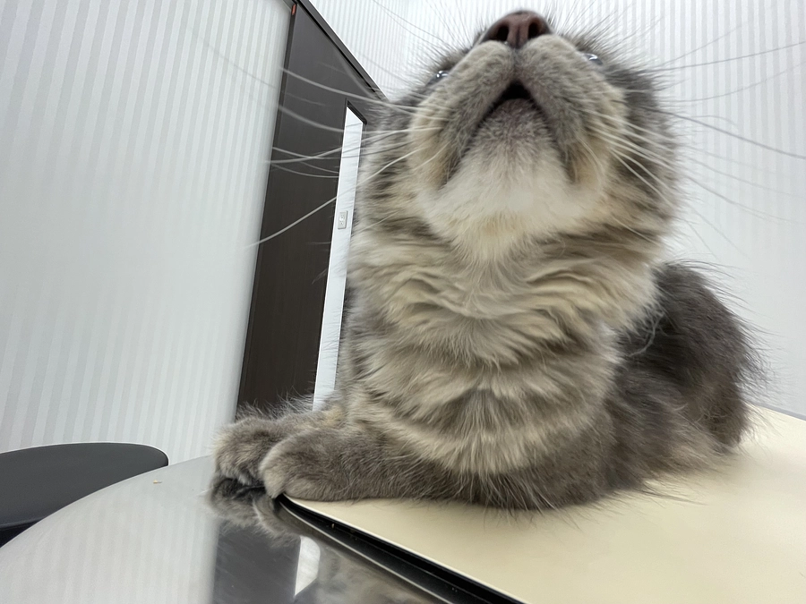 投薬55日目　お昼寝明け