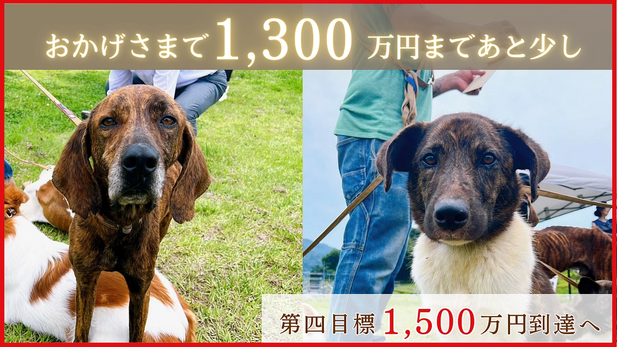 【もうすぐ1300万円突破！】あたたかい応援コメントのご紹介です