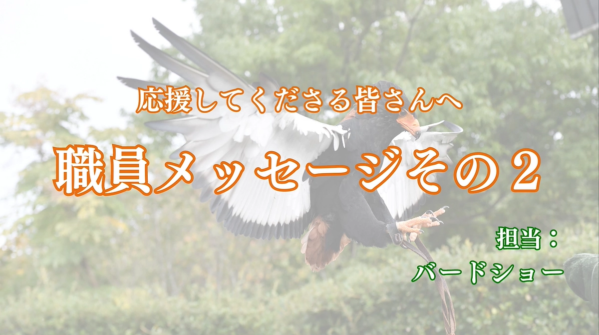 職員からみなさまへ　～バードショー担当からのメッセージ～