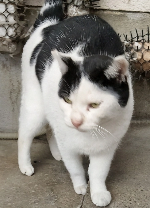 クラハンも後、一週間になりました。