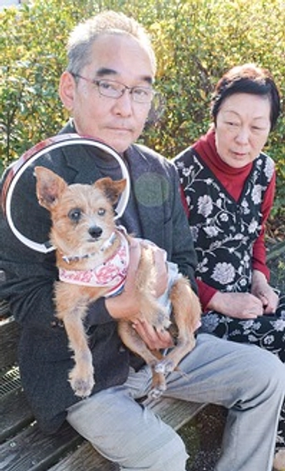 春の季節ドッグバンパーを着けてお出かけ