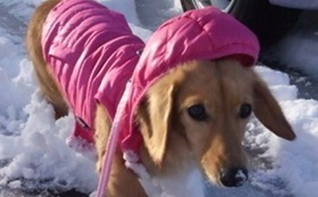 マリーへのご支援その1