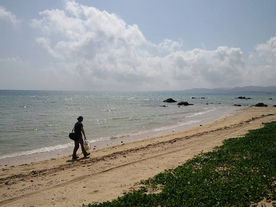 トカゲ王の思ひ出・その弐