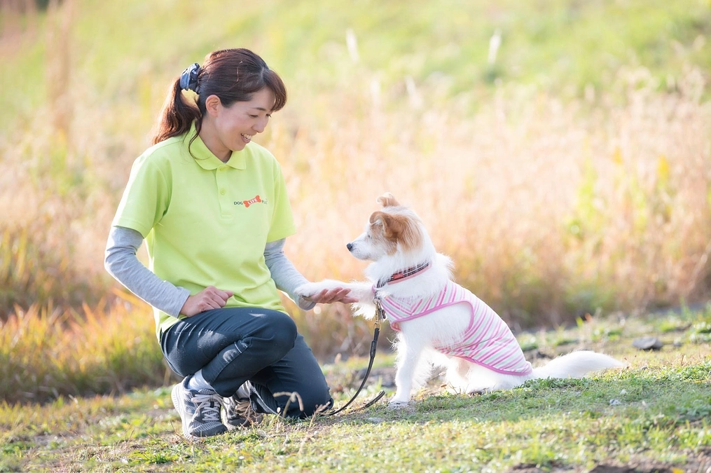 応援メッセージ　＃9