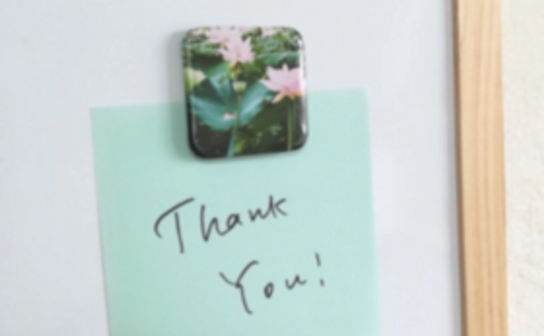 自然の声と暮らしをつなぐ【感謝のきもち】