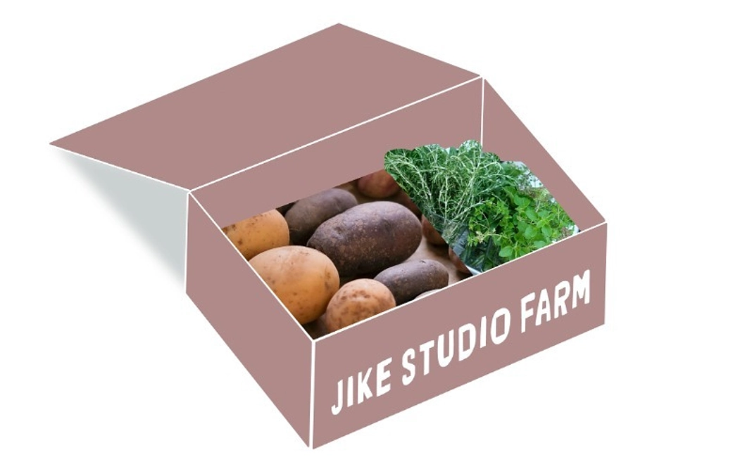 C｜JIKE STUDIO FARM BOX