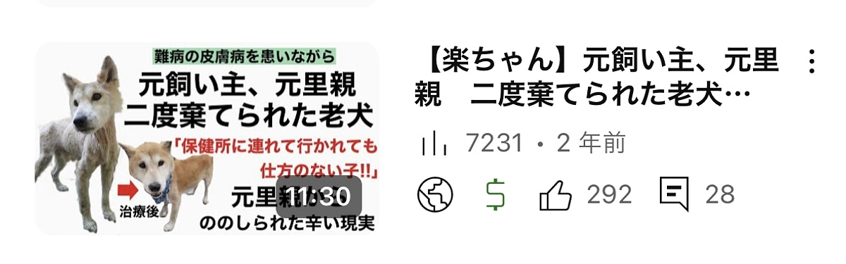 元飼い主と里親に二度見捨てられた老犬