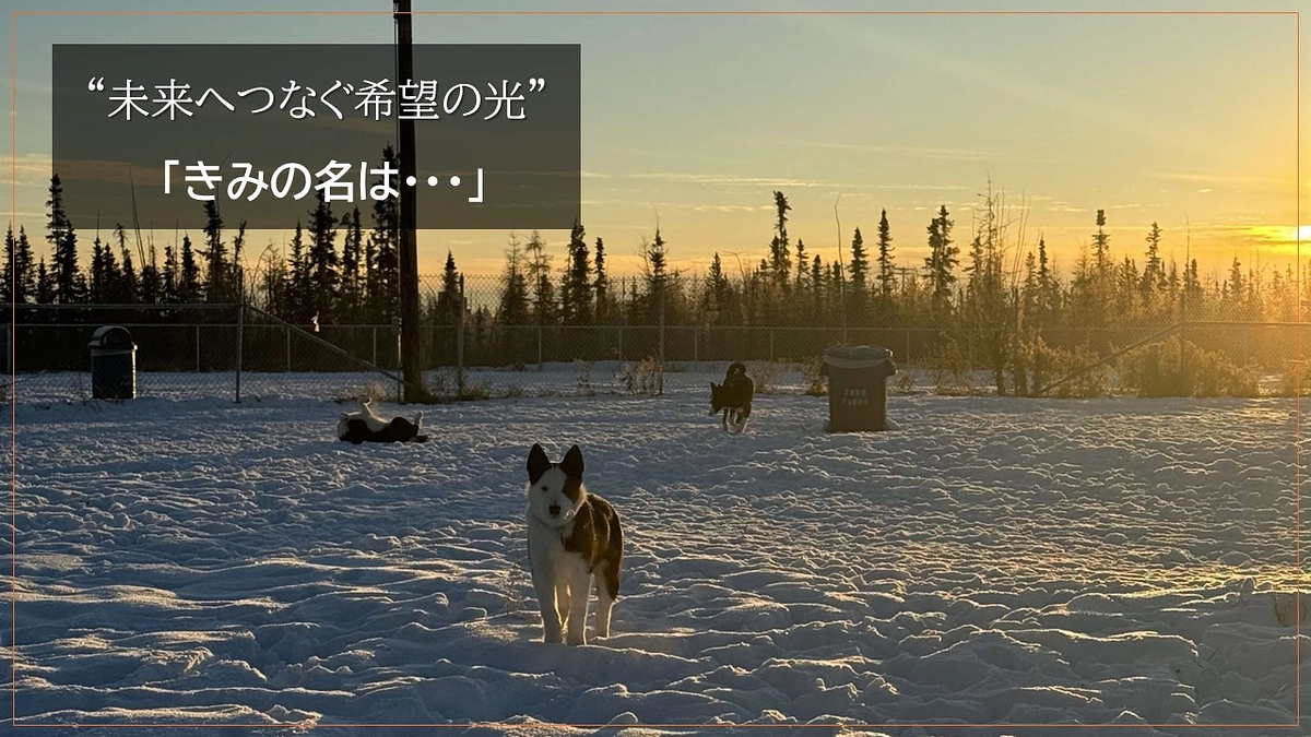 “未来へつなぐ希望の光”　きみの名は・・・