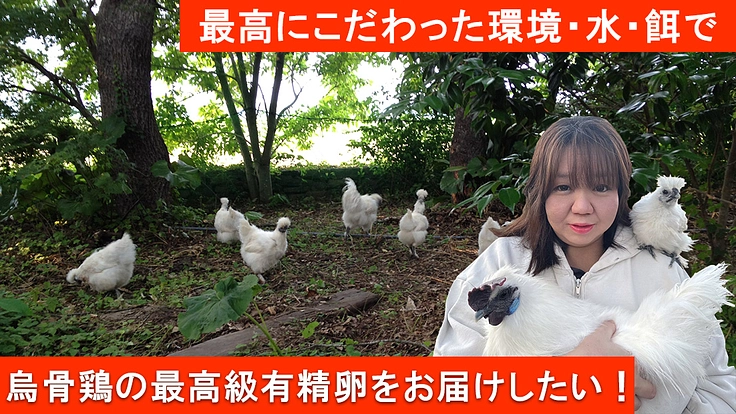 【DIYで作る理想の養鶏】幻の夢たまごプロジェクト