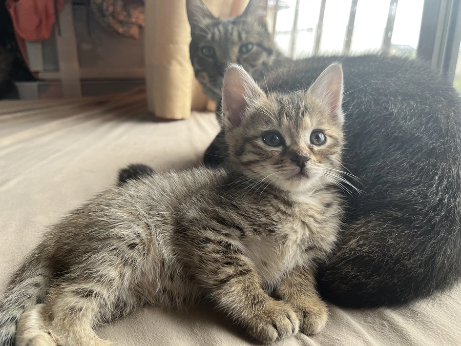 100万円を超えることができました