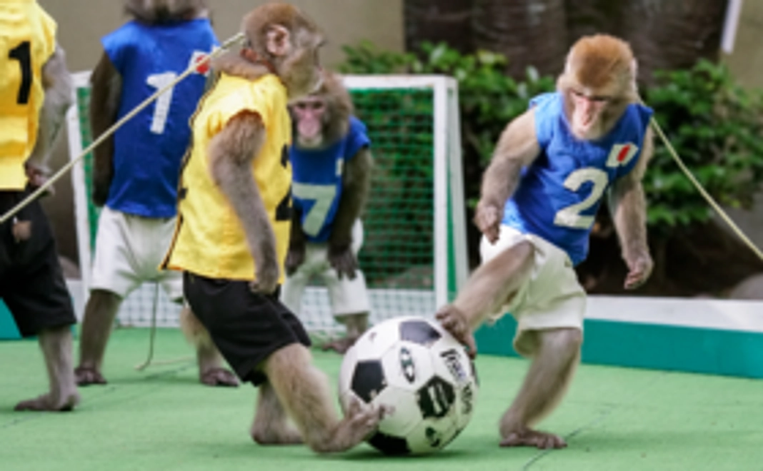 応援コース:5千円