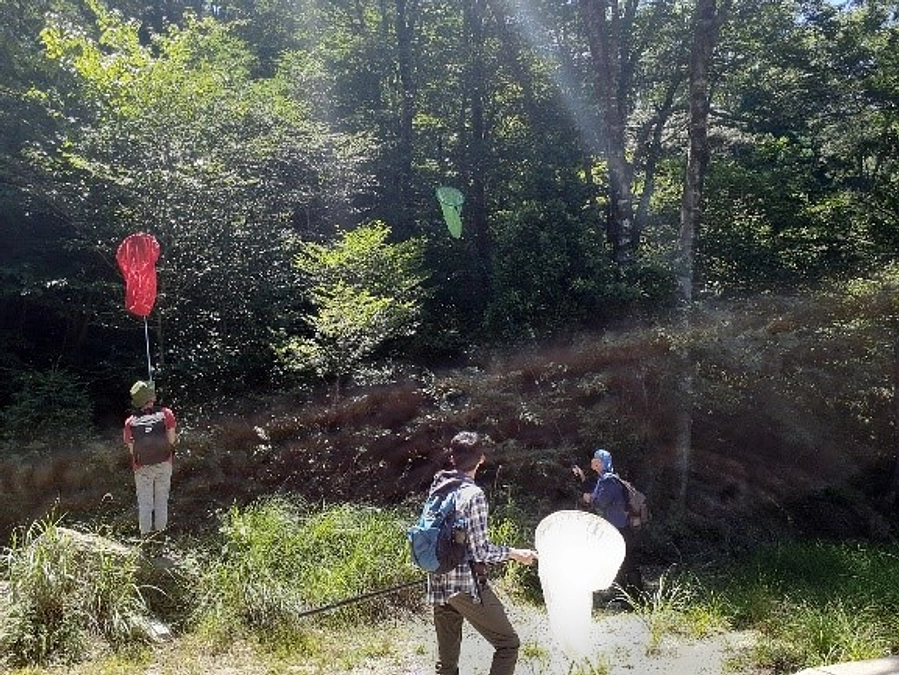 【博物館活動に参加してみませんか②】はしかけ「虫架け」
