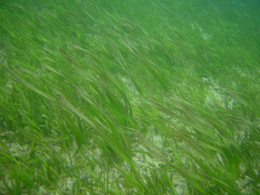 ① 始まりは19年前