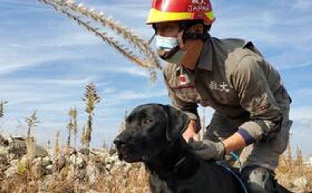 感謝のメールや画像２