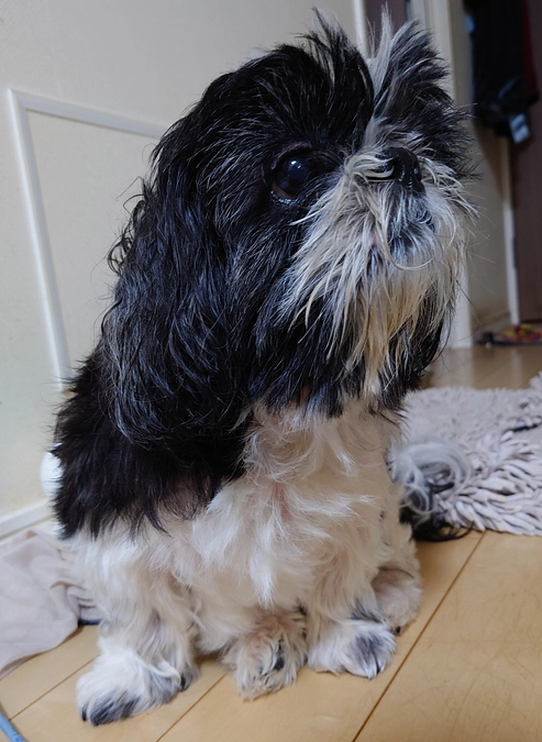 残り19日となりました。