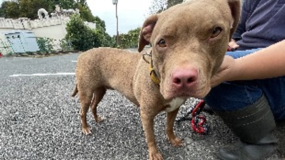 幸せのお裾分けと、幸せを掴むチャンスへ