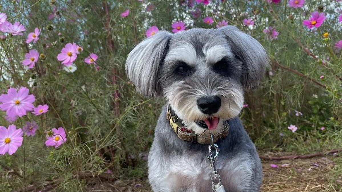 リターンを実施いたしました🙇‍♂️