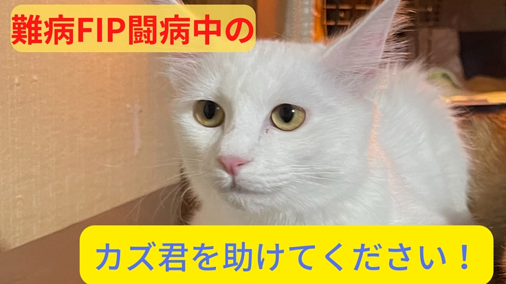 難病FIP闘病中の”カズ”くんにどうかご支援をお願いします