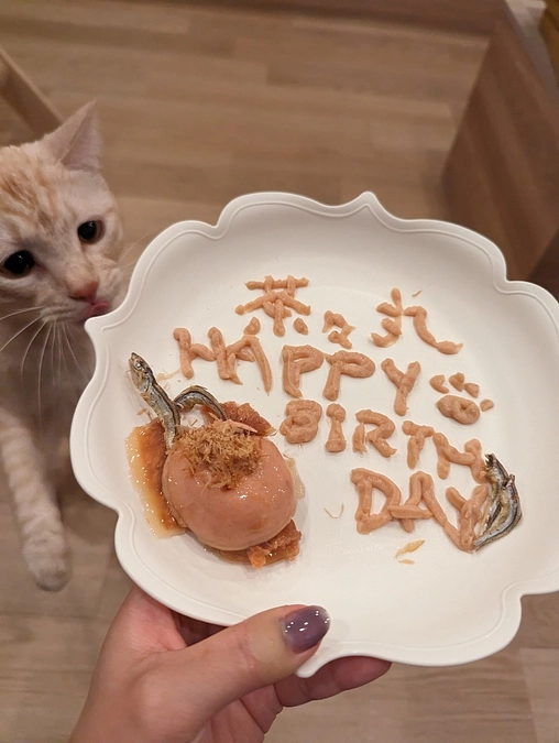 茶々丸２歳のお誕生日🍰