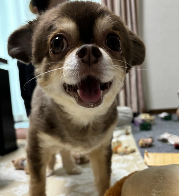 クラウドファンディング残り22日