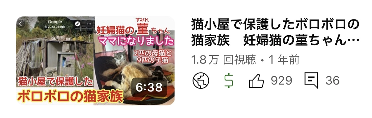 菫（すみれ）ちゃんママになりました